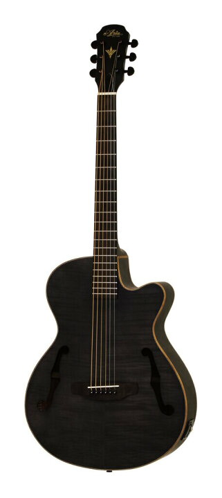 楽天市場】【送料込】【ケース付】ARIA アリア FET-F2 STBK Stained 