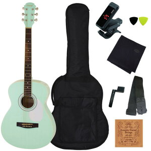 yzyJ[zy8_ZbgzLegend FG-15/SFGR Surf Green WFh by Aria ProII tH[NM^[SғZbg