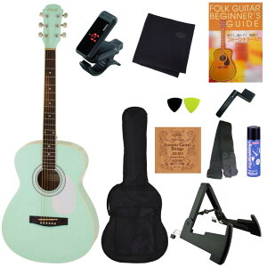 yzyJ[zy11_ZbgzLegend FG-15/SFGR Surf Green WFh by Aria ProII tH[NM^[SғZbg