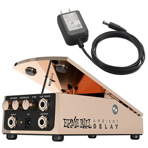 yzyėpACA_v^[tzERNIE BALL A[j[{[ #6184 Ambient Delay fBC