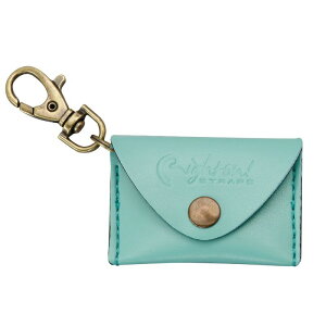 【ポイント5倍】【メール便・送料無料・代引不可】RightOn! STRAPS PICK POUCH PLAIN Surf ピックケース