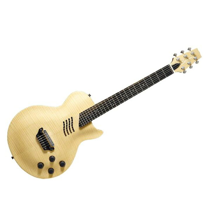 楽天市場】【送料込】LANDSCAPE SE-01/N NAT ナイロン弦 エレアコ  