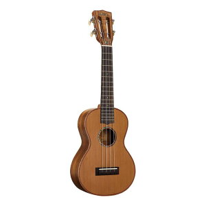 yz MAHALO }n MM2 RT[g EN I[\bh{fB