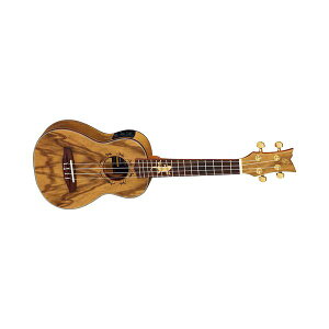 y|Cg5{zyzORTEGA IeK LIZARD-CC-GB sbNAbv RT[g EN LIZARD SERIES