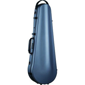 y|Cg10{zyzCarbon Mac CFA-2S S-SLV Vo[ rI P[X J[{}bN rI Te