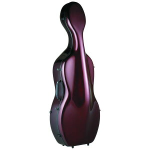 y|Cg10{zyzCarbon Mac CFC-5 WRD Cbh `F P[X J[{}bN `F [W