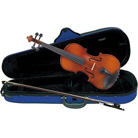 【送料込】Carlo giordano VS-1C バイオリンセット