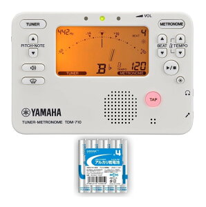 y[ցEEszYAMAHA TDM-710IV/P4dr×4{t AC{[ `[i[/gm[