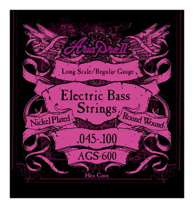 y[ցEEszARIA AA AGS-600 x1Zbg GLx[XOXP[p[45-100]