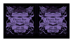 y[ցEEszARIA AA AGS-600M x2Zbg GLx[X~fBAXP[p[45-100]