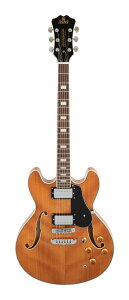yzAria ProII TA-200 MH(Mahogany) Z~AR[XeBbNM^[/P[Xty|Cg5{z
