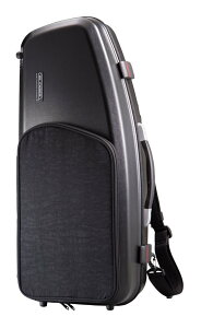 yzGL CASES GLS-A(S) ubN AgTbNXp ABS n[hP[X