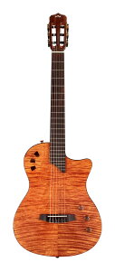 yzCORDOBA STAGE Natural Amber Rho  GNgbN NVbNM^[ GKbg/MOobOt