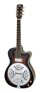 yzARIA ARG-700 BRB (Brown Burst) sbNAbv GNgbN ]l[^[M^[/MOobOt
