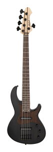 yzAria ProII RSB-700WP/5 SBK (See-through Black) 5x[X/P[Xty|Cg5{z