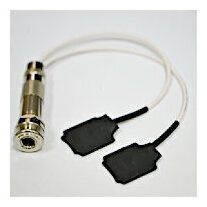 yzBirdland 119-02-ESD [G{j[STCY×2] o[hh sG]sbNAbv \^Cv