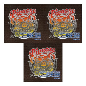 �y���[���ցE���������E����s�z�y3�Z�b�g�zPignose �s�O�m�[�Y PGS-800 [09-42] �s�O�m�[�Y�M�^�[��p�� �V���[�g�X�P�[��