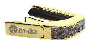 �y�������zThalia Capos PAUA HEART/24K Gold �^���A �J�| Exotic Shell�V���[�Y �M�^�[�p �J�|�^�X�g