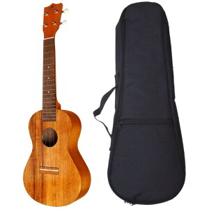 yzyNbVobOtzFamous tFC}X FC-5G RT[g EN nCARA