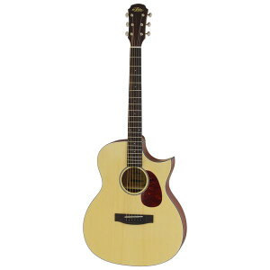 yzyP[XtzARIA AA Aria-101CE/MTN Natural }bgh GARy|Cg5{z