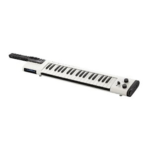 yzYAMAHA }n VKB-100 {[JChL[{[h