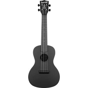 yzKALA J KA-CWB-BK ABS fލ̗p WATERMAN RT[gEN