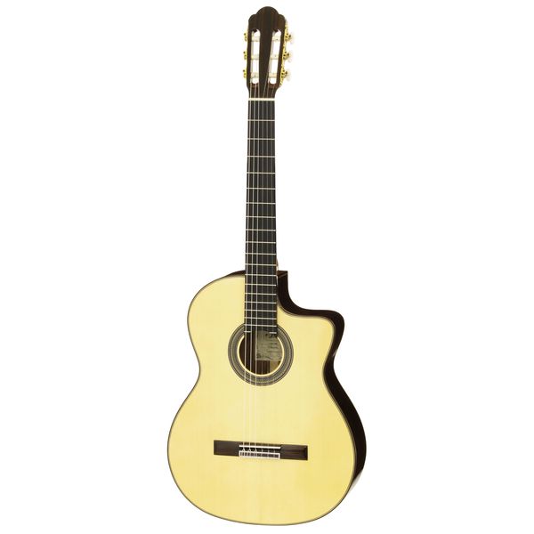 エレガット アリア アコースティック ギターの人気商品・通販・価格 
