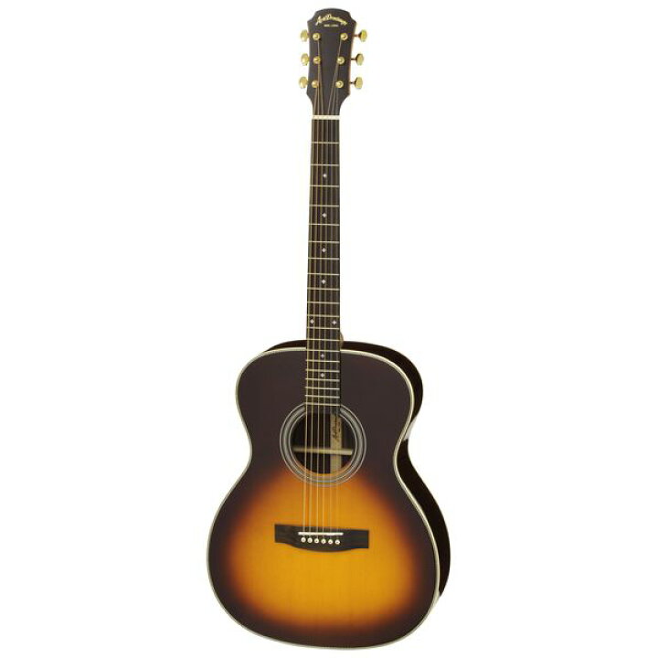楽天市場】【ポイント5倍】【送料込】【ケース付】ARIA アリア AF-505 