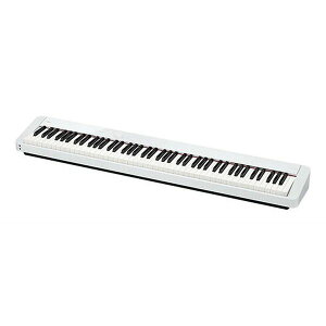 yzCASIO JVI PX-S1100WE zCg Privia vBA X{fB fW^sAmy|Cg10{z