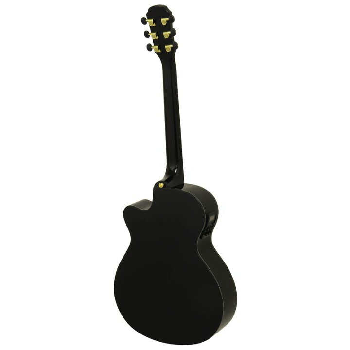 楽天市場】【送料込】【ケース付】ARIA アリア FET-F2/BnG BK Black 