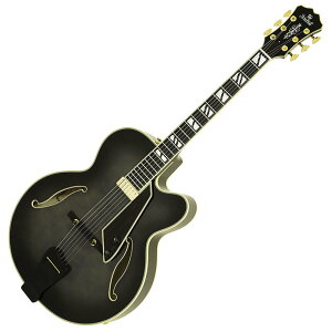 yzyn[hP[XtzAria ProII FA-2100 SBK See-through Black tAR j[[J[X^Cy|Cg5{z