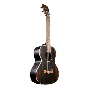 y|Cg5{zyzyP[XtzKALA J KAEBY-T-WBAG20_06 G{j[{fB ei[ EN KA-EBY-T