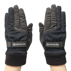 [LXR] StEFA O[u SF-2227W EFU[t[ EH[O[u 0000456807 S Y ubN