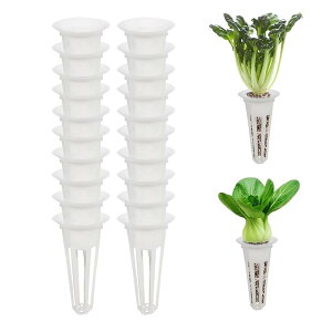 GOODCHI k͔| k͔|oXPbg k͔||bg Ac 20 vX`bNbV|bg 琬|bg ؐA͔| L@͔| A琬Jbv