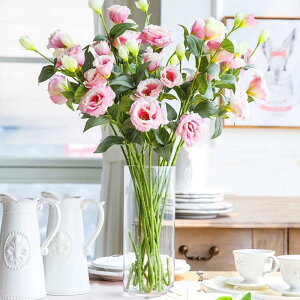 DARENYI ԕr KX 25cm ԕr NA t[x[X 傫  ~ Vv k rOAQAItBXȂǂ̑ɓKĂ܂ (a10cm 25cm)