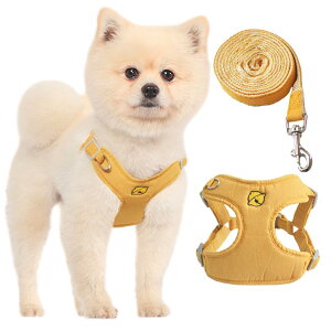 KUVEELA PET ybgpn[lX[hZbg  n[lX ̃[h hbOEGA  ߉\ U Oo EȒP ^ ^ ^iCG[ XSj