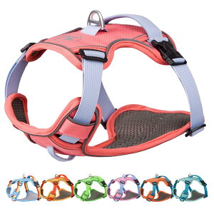 Paipeper  n[lX ^ ^ ^n[lX p  hbOEGA h~ Ԕ p \ ȒP  UiTNsNXSj