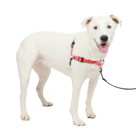 PetSafe（ペットセーフ） 犬用 引っ張り防止ハーネス デラックスイージーウォークハーネス ローズレッド×ブラック M/Lサイズ