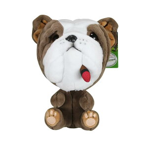 Scott Edward StNuJo[ Ђ̃V[ ʂ Ȃ̃Nuĕی삵܂