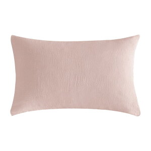 SE Jo[ 43 63 100 K[[ s[P[X VRRbg _炩 zʋC RہEh_j 􂦂 I[V[Y (43X63cmEsN) uSE Softexlyv