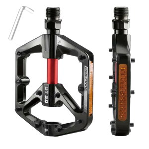 TRIWONDER ] y_ [hoCN NXoCN MTB tbgy_ tN^[t }}` (02ubN)