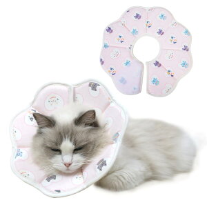 WISSUA �G���U�x�X�J���[ �y�� �ʋC�� �P�K ��� ���r�ߖh�~ �����~���h�~ �L�p ���^���p �y�� �\�t�g �p��P�A ��􂢐��� �_�炩�� ���� (M, �s���N�̔L)