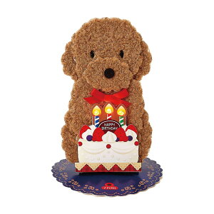 TI(SANRIO) o[Xf[J[h aj CgfB[ ӂӂ gCv[h P[L 184161