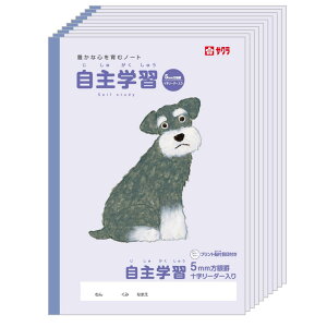 TNNpX wK wK 5mm  A4 Ē×S fUC ~j`AViEU[ 10 NP910(10)