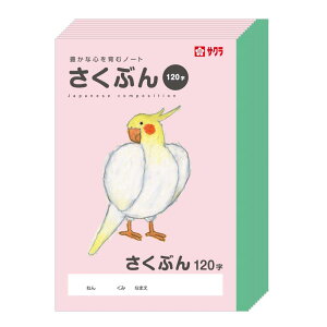 TNNpX wK Ē×SfUC 앶120 10pbN CR NP105(10)