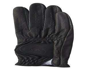 キャスコ(Kasco) ゴルフグローブ SILKY FIT シルキーフィット レギュラーサイズ(右手用) メンズ GF-17251R ブラック 22cm