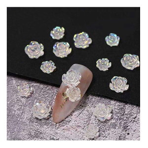 lCp[c JA 100Zbg 3D   lCp[c 傫   lCp[c lCA[g WG[p[c  | nhCh WG[p[c t@bV A