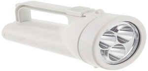 パナソニック LED懐中電灯 ワイドパワー強力ライト 乾電池エボルタNEO付 BF-BS02K-W