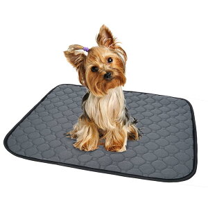 ybgV[c 􂦂 L p pbh ybgp gC~}bg  􂦂 EL R(O[M 񖇃Zbg)