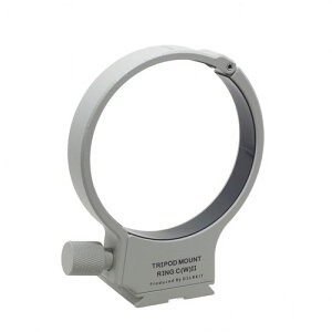 DSLRKIT �����O���O�r��C(WII) �L���m���݊��i EF70-300mm F4-5.6L IS USM